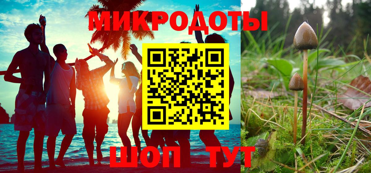 Галлюциногенные грибы Cubensis Железноводск