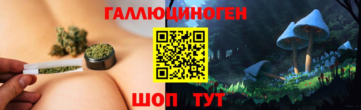 Галлюциногенные грибы мицелий  Псилоцибиновые грибы ЛСД  Железноводск  Вход с VPN 